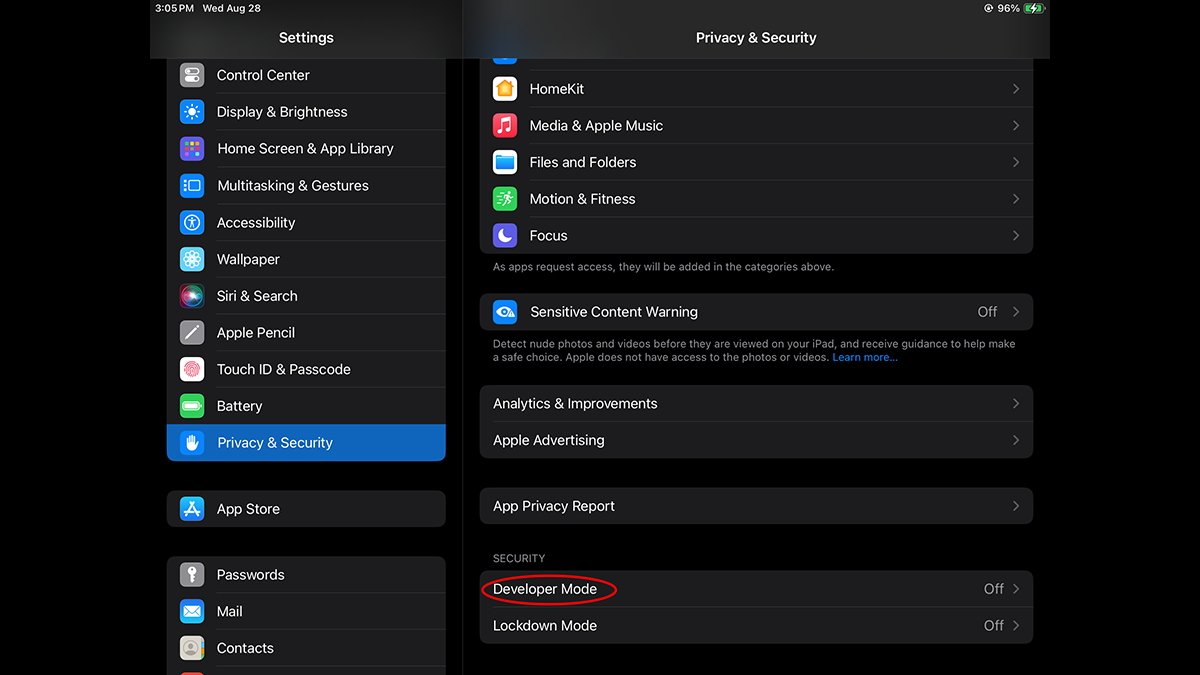 iphone developer mode